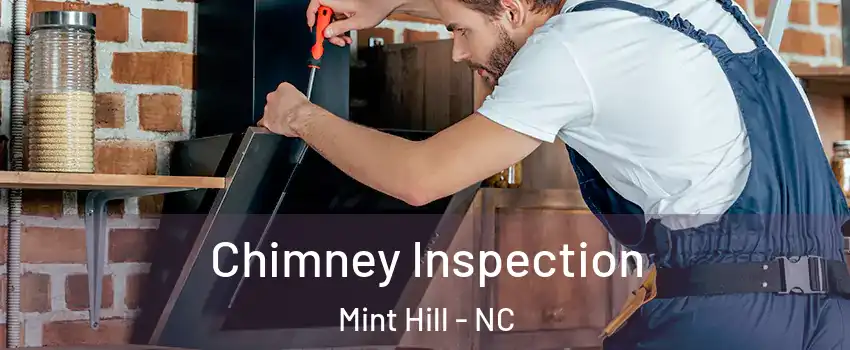 Chimney Inspection Mint Hill - NC
