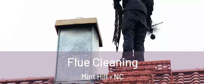 Flue Cleaning Mint Hill - NC